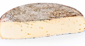 Reminder of Saint Nectaire farmer PDO