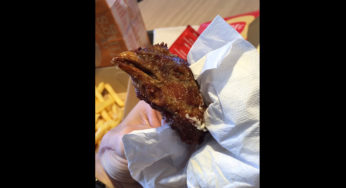 Quick : Chicken head found in Chicken Wings