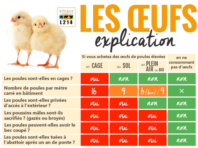 Infographic credits : L214