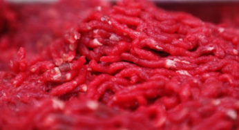 E.Coli : Viande hachée et steaks hachés contaminés