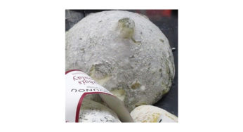 Cheese point of Raw Milk