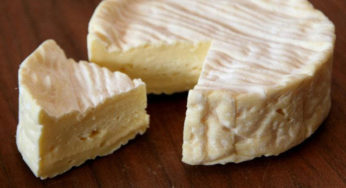 Recall of Raw Milk Cheese