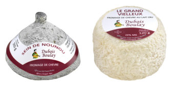 Recall of Raw Milk Cheese