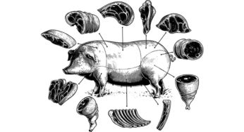 Charcuterie Bordelaise à la Listeria