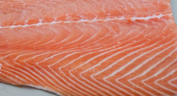 Recall of wild salmon