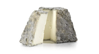 (May) Cheese point of Raw Milk