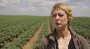 Documentary : The potato is not fried