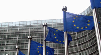 Endocrine disrupters : scientists denounce the position of Europe