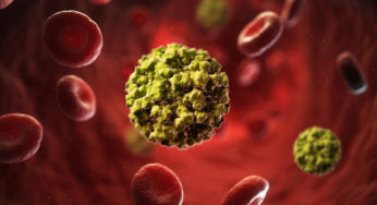 Novovirus