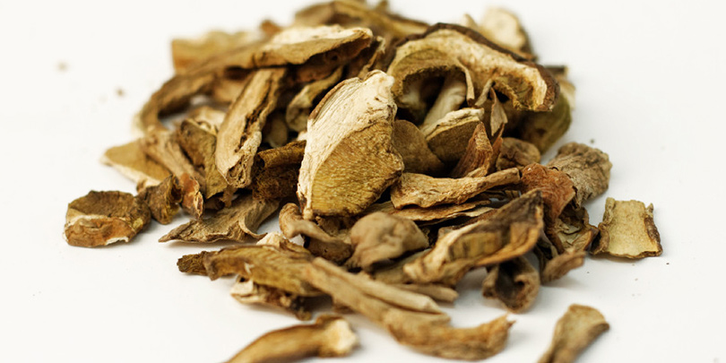 Cèpes