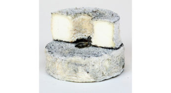 Petite Rouelle Cendrée à la Listeria