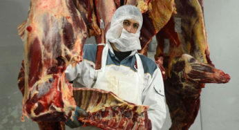 Interview : “Good for the trash was turned into meat patties”
