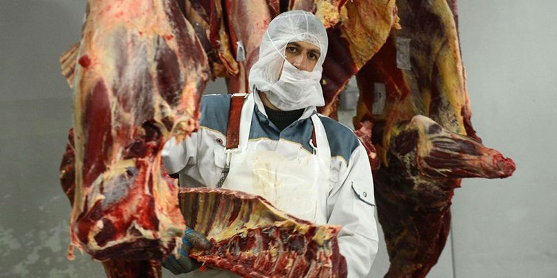 slaughterhouse meat
