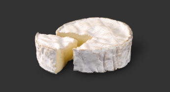 Recall : Normandy camembert Bio