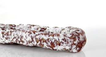 Sausage with Salmonella