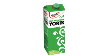 Brique de Yorik - Yoplait