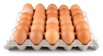 Oeufs frelatés vendus en France, officiellement “pas de risque”