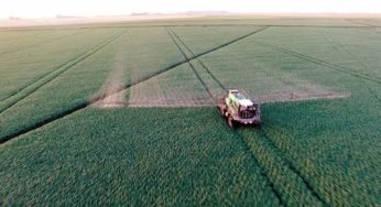 Documentary : Roundup on trial