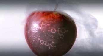 Health Survey : The new poisons our daily