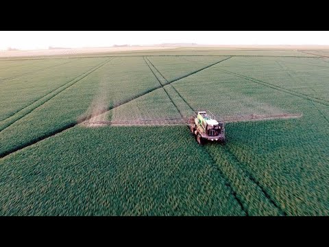 Documentaire