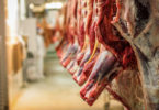 Meat cattle - abattoir carcass