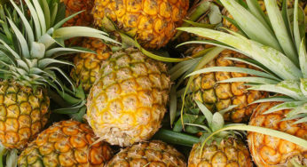 Too many pesticides in “pineapple Cayenne”