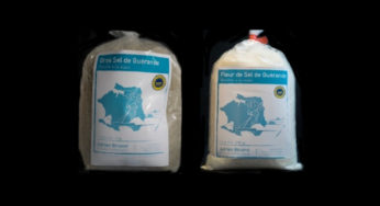 sea ​​salt and coarse sea salt PGI lead
