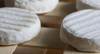 Goat cheese from raw milk Listeria