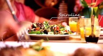 Investigation : Superfoods to stay young