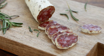 Dry sausage Salmonella ?