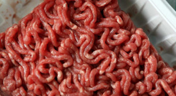 Minced meat Socopa in E.Coli
