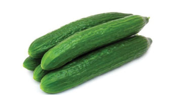 Cucumbers contaminated by insecticide banned from 1972