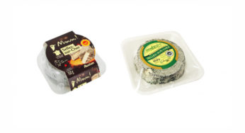 Salmonelles : Fromages au lait cru contaminés