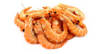 Auchan : rappel de crevettes roses cuites