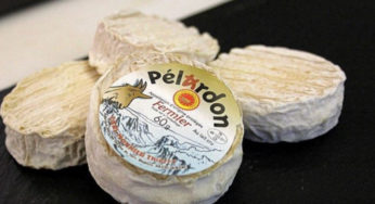 Salmonella : Pélardons PDO contaminated