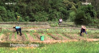 Produire Bio : Un Business Comme Les Autres ?