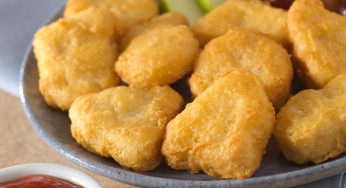 hard plastic bits in Nuggets