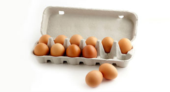 Eggs with salmonella