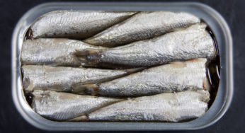 Recall : Canned Sardines