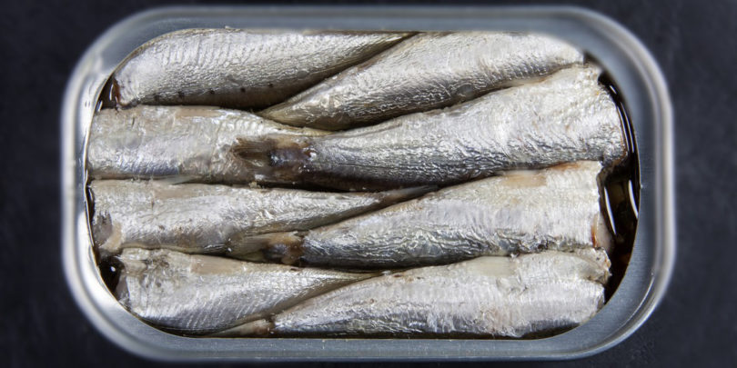 boite-de-sardines