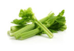 Celery branch