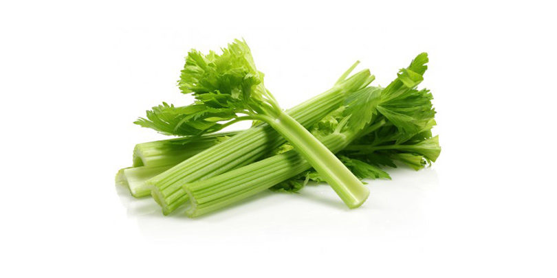 Celery branch