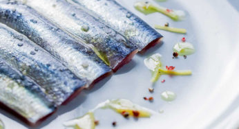 Crossroads : Nets contaminated sardines