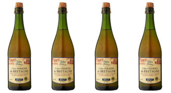 Cider of glass fragments ?