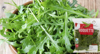 Recall : Roquette salmonella