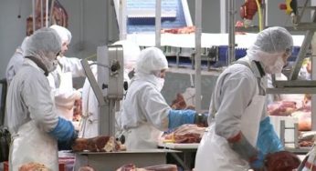 Documentaire : Ce que cache l’alimentation pas chère