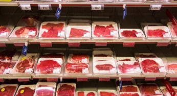 Près de 800 kg de viande avariée polonaise retrouvés en France