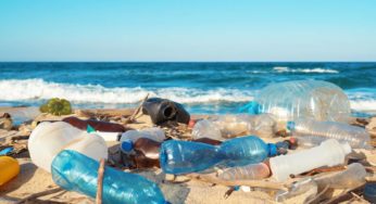 Plastic, not so fantastic!
