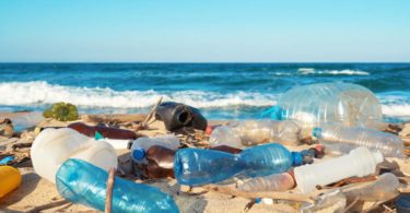 Déchets de plastique sur la plage