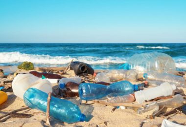 Plastic waste on the beach